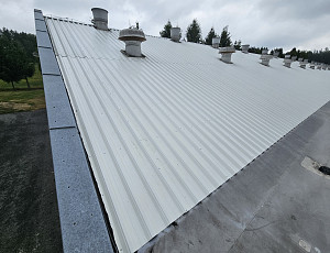 Oprava podhledu a střechy